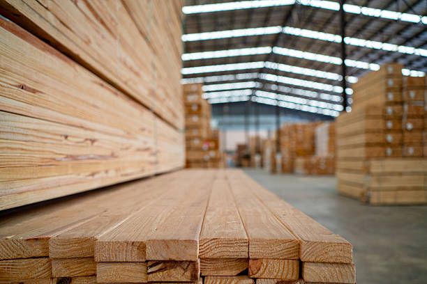 8 Important Features to Look for in Shuttering Plywood