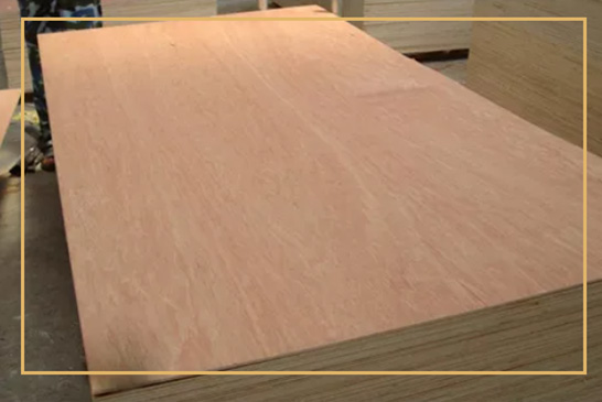 The Rise of Premium Plywood India: Why Quality Matters More Than Ever